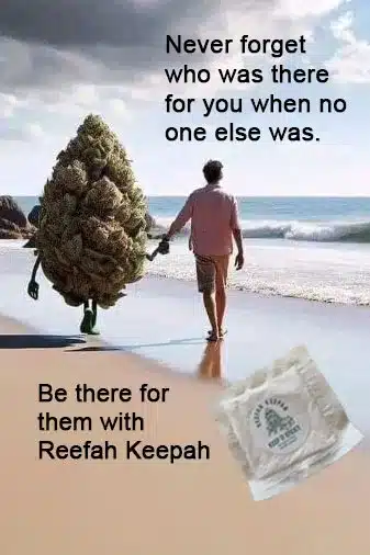 Contact Reefah Keepah