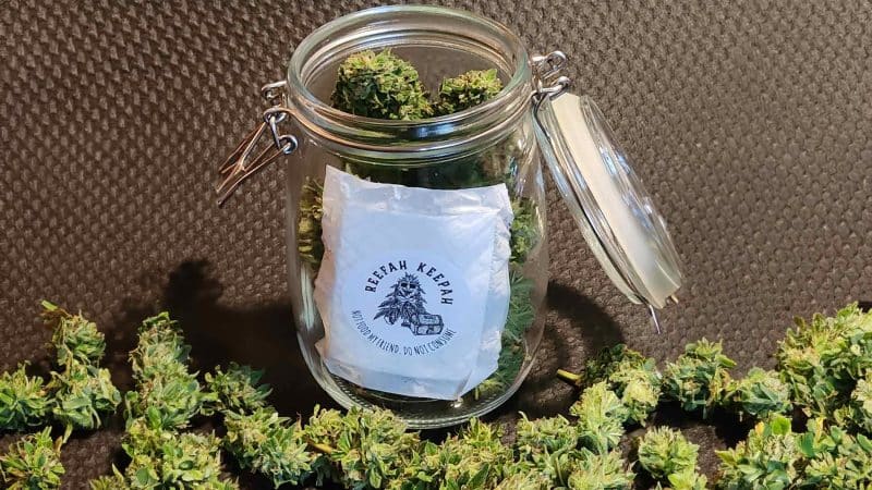 Why Is Dispensary Cannabis So Dry?
