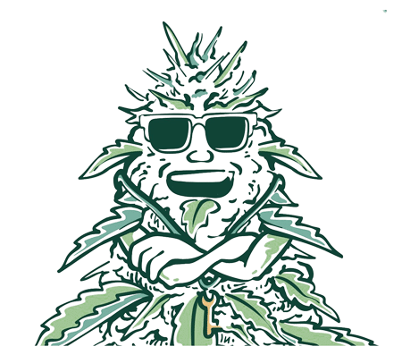 humidity packs for weed