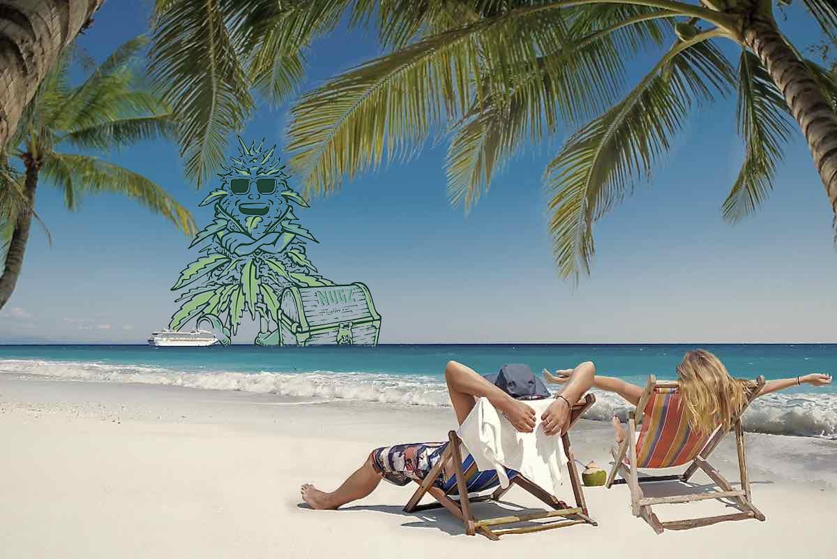 Are Humidity Packs Good For Weed