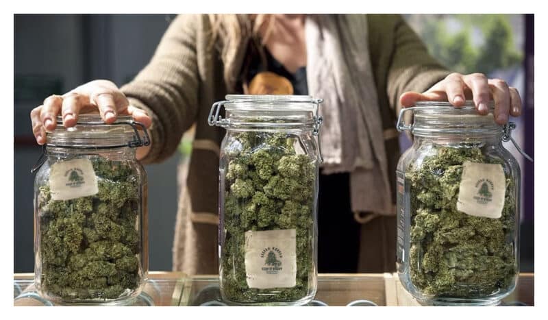 Keep Large Amounts of Pot Fresh